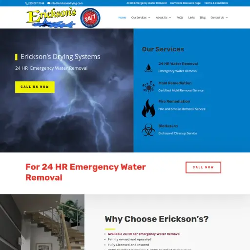 ericksonsdrying.com