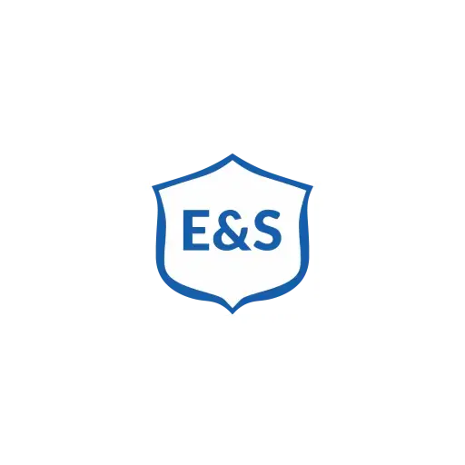E&S Academy