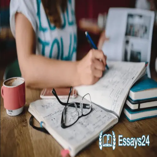 Essays24