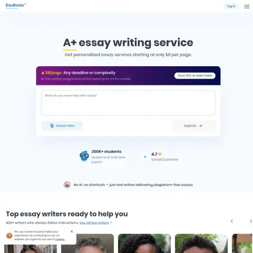 Essayvikings