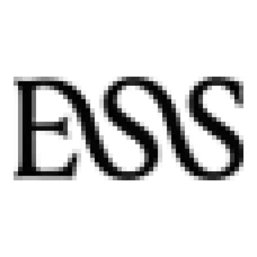 Essentialist