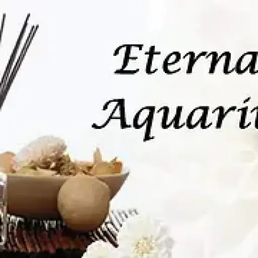 Eternalaquarius