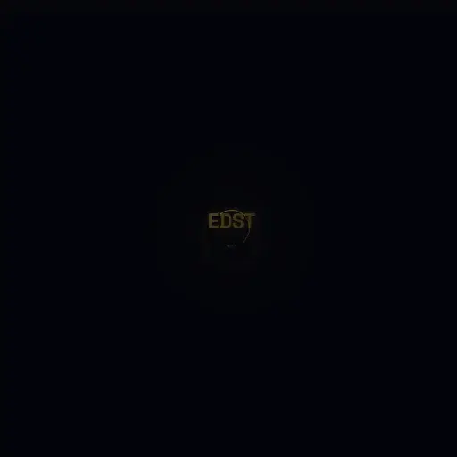 Everydaysuccessteam