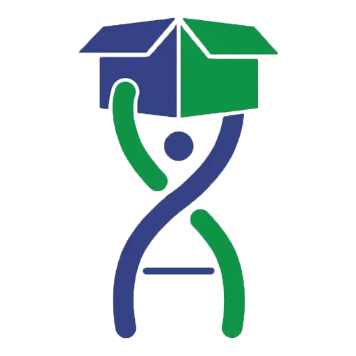 Evolution Moving Company New Braunfels