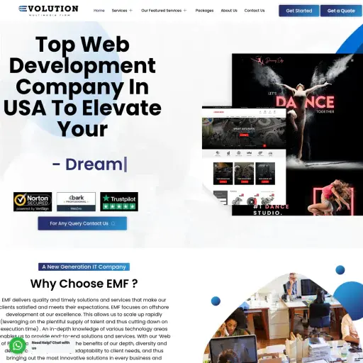 Evolution Multimedia Firm LLC