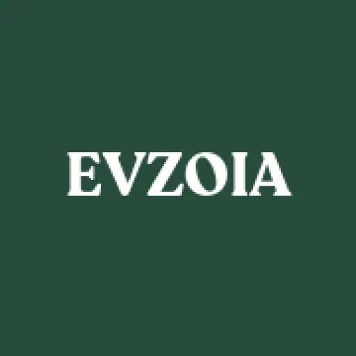 EVZOIA Life Coach, Career Coach & Mentorship Programs