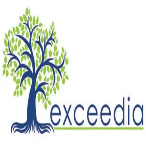Exceedia Consulting Ltd