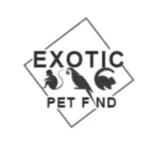 Exotic pet find