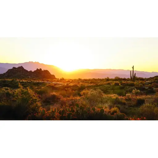 experiencescottsdale.com