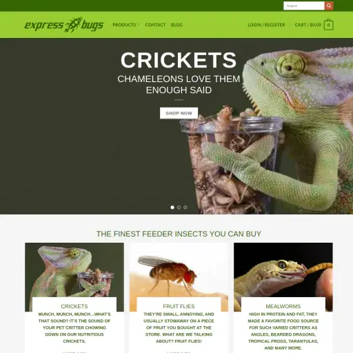 Expressbugs