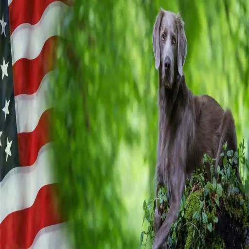 Extremedogfence