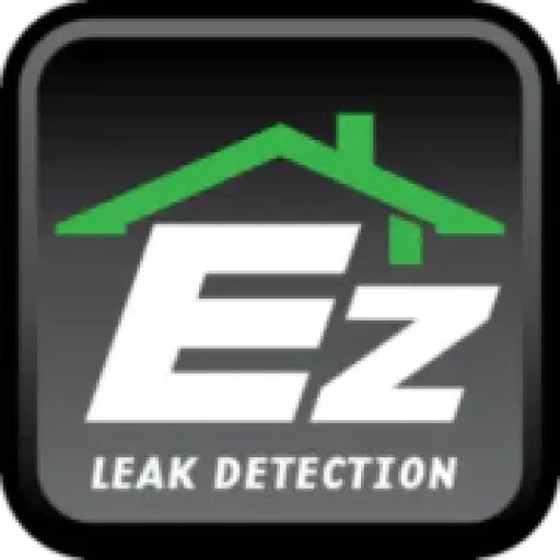 ezleakdetection.com