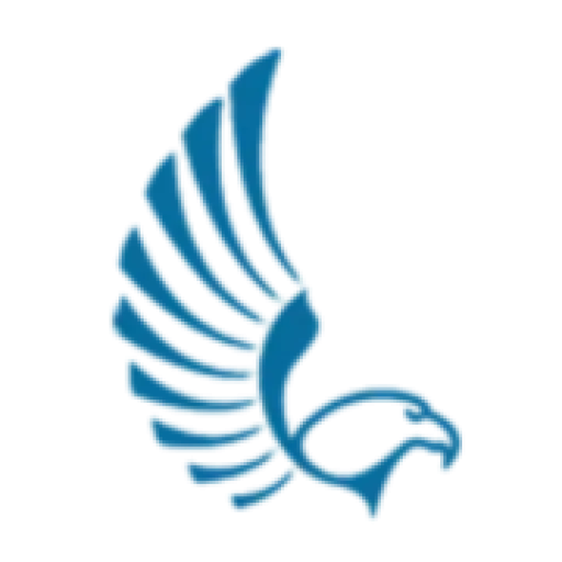 Falcon Digital Marketing