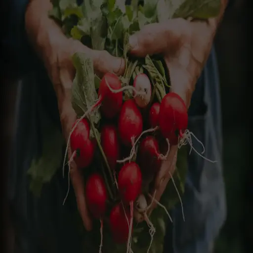 Farm to Fork Meals