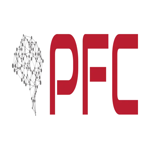PFC - Patrice Faßhauer Consulting