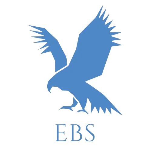 Enhanced Business Solutions (EBS)