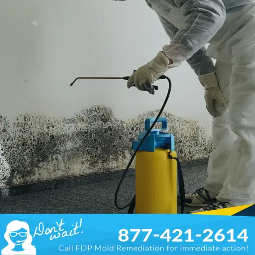 FDP Mold Remediation