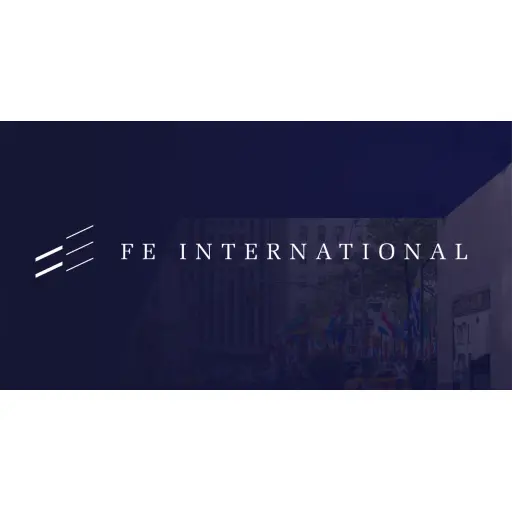 FE International