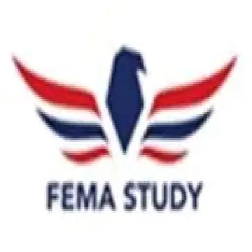 Fematestanswers