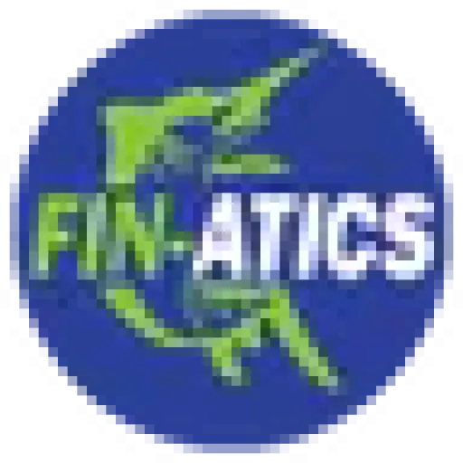 FIN-ATICS