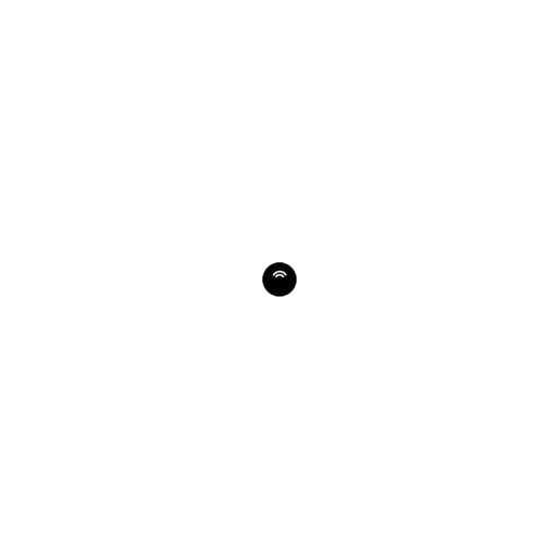 Orbit