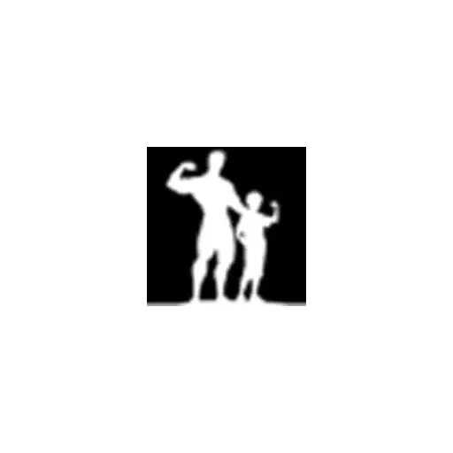 Fit Father Project