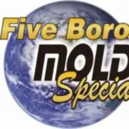 Five Boro Mold Specialist