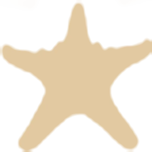 Five Star Properties and Bliss Beach Rentals