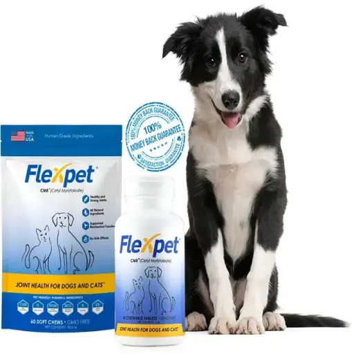flexpet.com