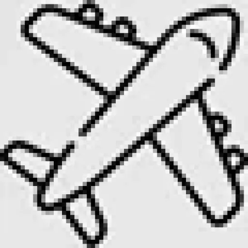 Flightsfairy