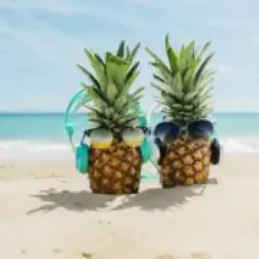Florida.com