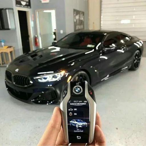 Flying Dragon Car key