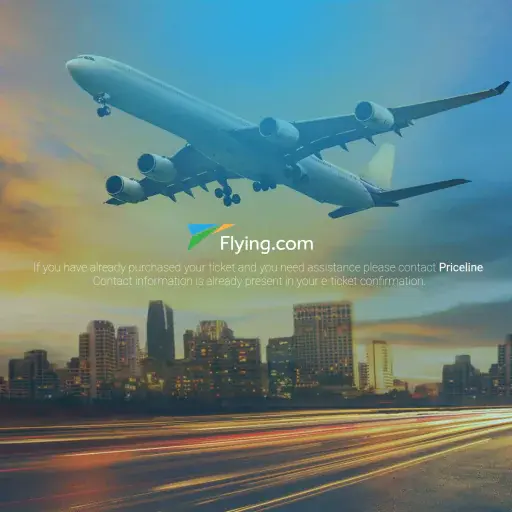 Flying.com ✈