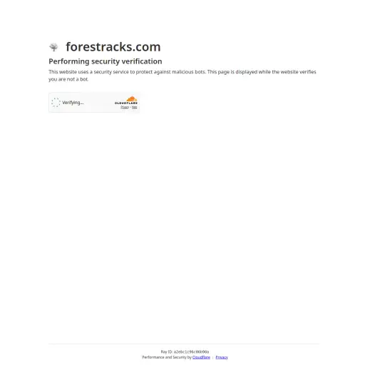 ForestRacks