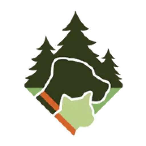 foxvalleydogcollars.com