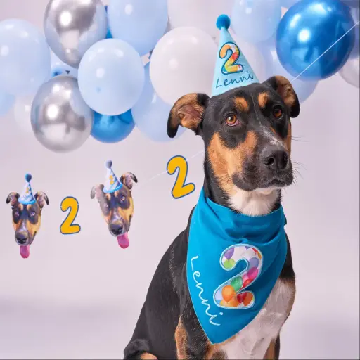 PartyAnimal