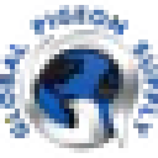 globalpigeonsupply.com