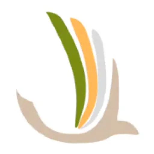 gotolatam.com