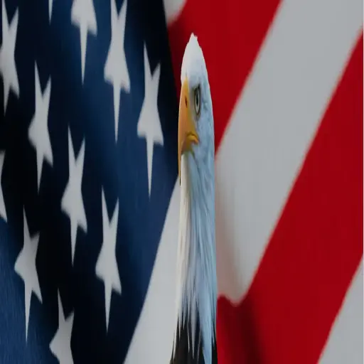 GovernmentAuctions.org