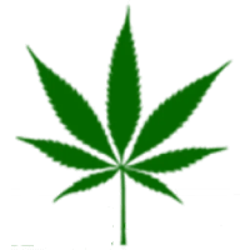 greenhealthdocs.com