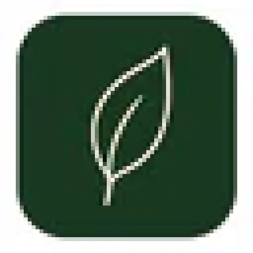 Greenify Daily Greens & Collagen