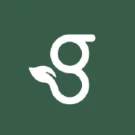 Green My Experience