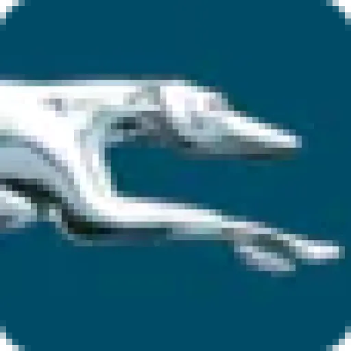 Greyhound Bus