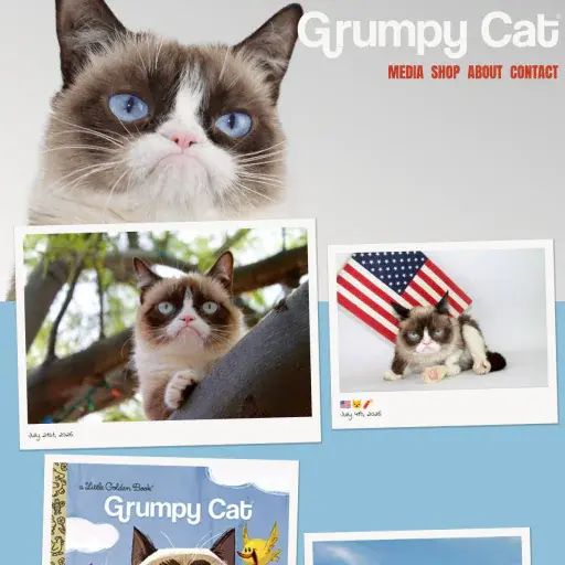 Grumpy Cat