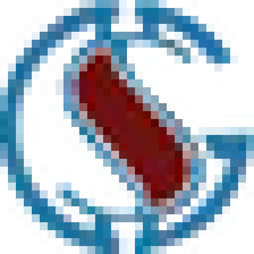 GuruSquad