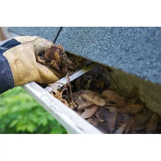 Rafael's Gutter Cleaning