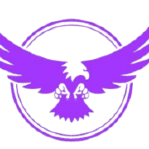 Halcon Tech LLC