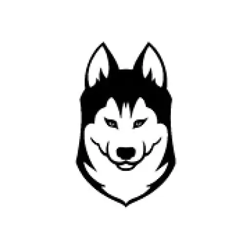 LED Dog Collar | HaloLights™