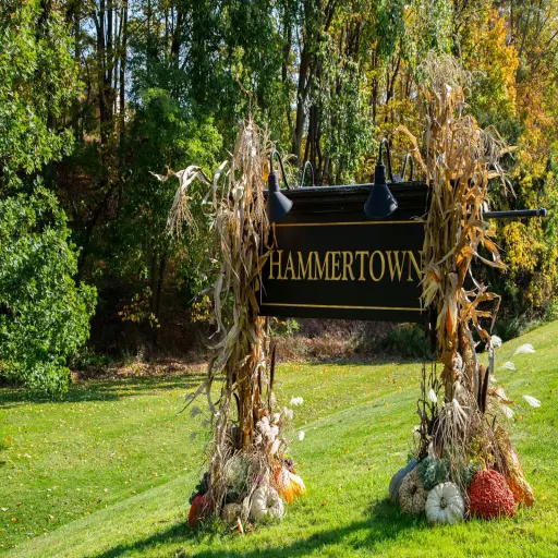 hammertown.com