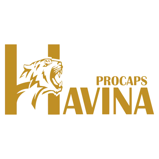 Havina Promotion And Caps Corporation
